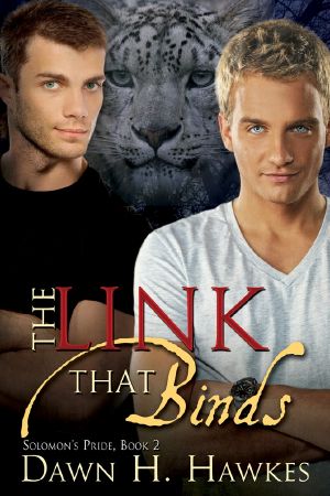 [Solomon's Pride 02] • The Link That Binds